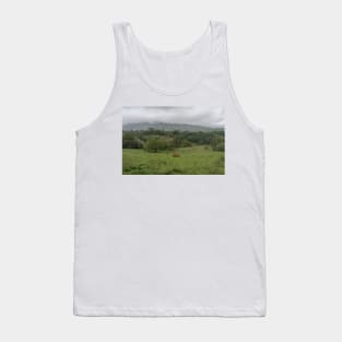 Scenic inner Kauai rural scene, Hawaii Tank Top